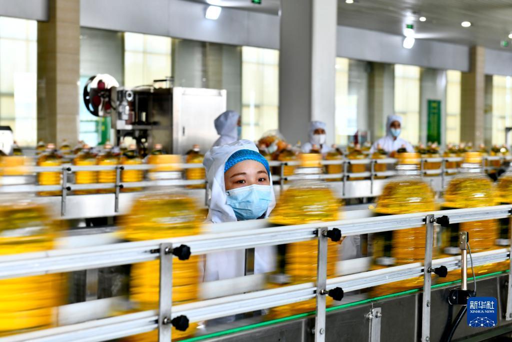 斗鱼黄金大奖赛官网